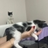 2 aylık smokin bebek için yuva fotoğraf