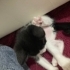 2 aylık smokin bebek için yuva fotoğraf