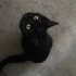 Tel:0545 806 86 49 evcimen kedi Gece fotoğraf