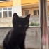 Bebeğime kalıcı yuva arıyorum fotoğraf