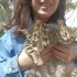 Kedi üç küçük kardeş fotoğraf