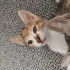 Üvey kardeşlerr fotoğraf