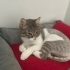 Lucky ye yuva arıyoruz fotoğraf