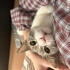 Kısırlaştırıldı adı pofy fotoğraf