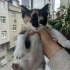 Tatli bebeğimize yuva fotoğraf