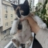 Tatli bebeğimize yuva fotoğraf