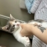 2 aylık bebişe yuva arıyoruz fotoğraf
