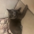 Sakin BRİTİSH ÜCRETSİZ fotoğraf
