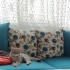 Acil yuva arıyor dişi british shorthair fotoğraf
