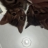 Acil Yuva Arayan 4 Yavru + Anne Kedi 🐱 Domestic Shorthair (Siyah & Tekir) fotoğraf
