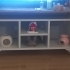 Kayıp gri bebek yeni insanını arıyor fotoğraf