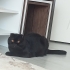 1 buçuk yaşında erkek fotoğraf
