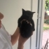 Çok sevimli minnoşlar fotoğraf