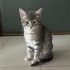 Çok sakin ve sevecen fotoğraf