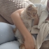 Sokağa terk edilmiş persian bebeğe ömürlük yuva arıyoruz fotoğraf