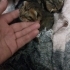 🆘️🆘️🆘️🆘️ACİL SUTANNE VEYA TECRUBELI BIR LÜTFEN OKUYUN fotoğraf