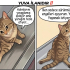 ENGELLİ CAN ÖNCELİK fotoğraf