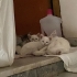 ÜÇ TATLI KARDEŞE YUVA ARIYORUZ fotoğraf