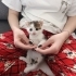 Tek gözü sürmeli bu tatlı yavru sokakta kalmasın fotoğraf
