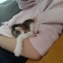 Tek gözü sürmeli bu tatlı yavru sokakta kalmasın fotoğraf