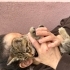 Güzel sevecen yavruma yuva fotoğraf