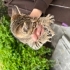Güzel sevecen yavruma yuva fotoğraf