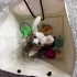 Beyaz ve Karam kardeşler size gelmek istiyor fotoğraf