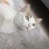 Ömürlük Yuva Arıyoruz fotoğraf