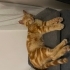 Yakışıklı Behlül yuva arıyor fotoğraf