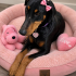Ücretsiz sahiplenme Doberman fotoğraf