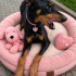 Ücretsiz sahiplenme Doberman fotoğraf
