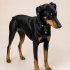 Ücretsiz sahiplenme Doberman fotoğraf