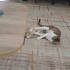 Yakışıklı oğlan Latte fotoğraf