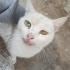 Sokağa atılmış acil yuva fotoğraf
