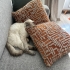 British shorthair 2,5 yasinda yuva ariyoruzzz fotoğraf