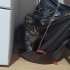 Kibar Bir Kız Bebek fotoğraf