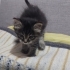 Kibar Bir Kız Bebek fotoğraf