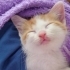 Tandi ile Bonita fotoğraf