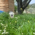 Ares İçin Çok Acil Yuva fotoğraf