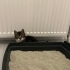 1 aylık bebeğe kalıcı yuva fotoğraf