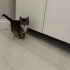 1 aylık bebeğe kalıcı yuva fotoğraf