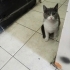 bu güzelliğe çok acil Yuva fotoğraf