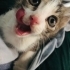 Annesiz kömürlukte yaşamaya çalışıyor fotoğraf