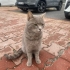 evden kaçmış ya da bırakmışlar sokakta yaşayamaz fotoğraf