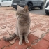 evden kaçmış ya da bırakmışlar sokakta yaşayamaz fotoğraf