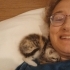 1,5 aylik dişi calico kedi yavrusu yuva ariyor fotoğraf