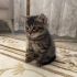 Minik yavrumuza yuva fotoğraf
