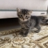 Minik yavrumuza yuva fotoğraf