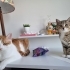 Tandi ile Bonita fotoğraf