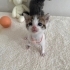 Minik tatlı yavrumuz fotoğraf